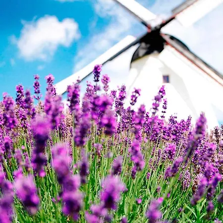 4 Person Holiday In *